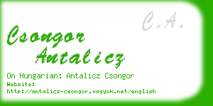 csongor antalicz business card